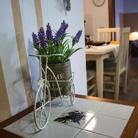 Angie's Perfect Location Flat - Walk To Sights * Tirana